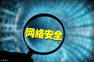 構(gòu)筑數(shù)字防線 防毒軟件在網(wǎng)絡(luò)與信息安全軟件開(kāi)發(fā)中的核心地位